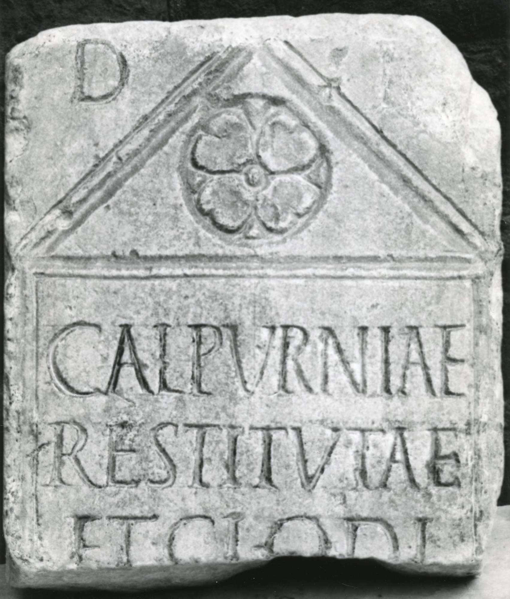 Lapidario, RA 792, neg. 62226, 1981